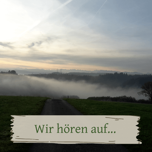 Weg in und aus dem Nebel