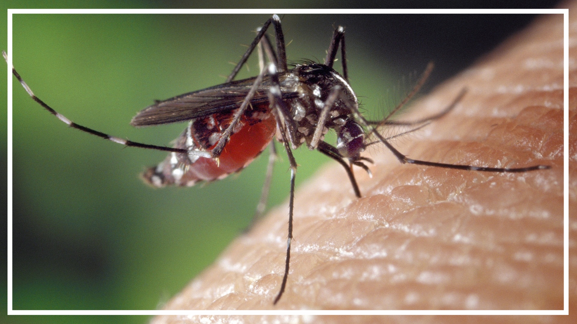 Espace Prevention Réseau Périnatal Naître En Nouvelle - 