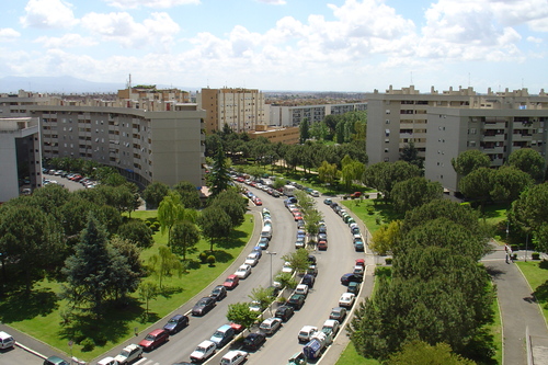 Una veduta di Viale Lina Cavalieri - Roma