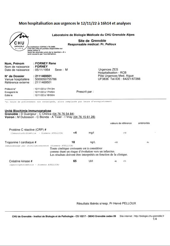 Monsieur René FORNEY Victime d'une tentative d'assassinat le Samedi 12 Novembre 2022 vers 15h50 sur le pont de CATANE côté SEYSSINET (38170). Il accuse les Milieux de la Corruption dans les Institutions du CARTEL GRENOBLOIS  (Justice, Police, Immobilier) 