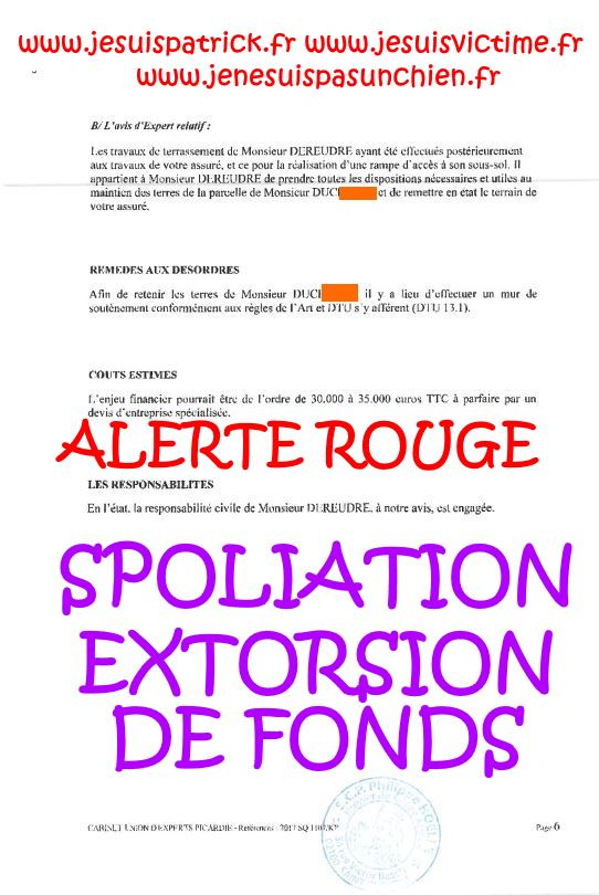 N48 Affaires Mes Chers Voisins Assignation Référé du 10 Juillet 2019 par Huissier de Justice la SCP Philippe HOELLE  à Saint-Quentin (02) #ExtorsionDeFonds www.jesuispatrick.fr www.jesuisvictime.fr www.justicemafia.fr www.jenesuispasunchien.fr #Spoliation