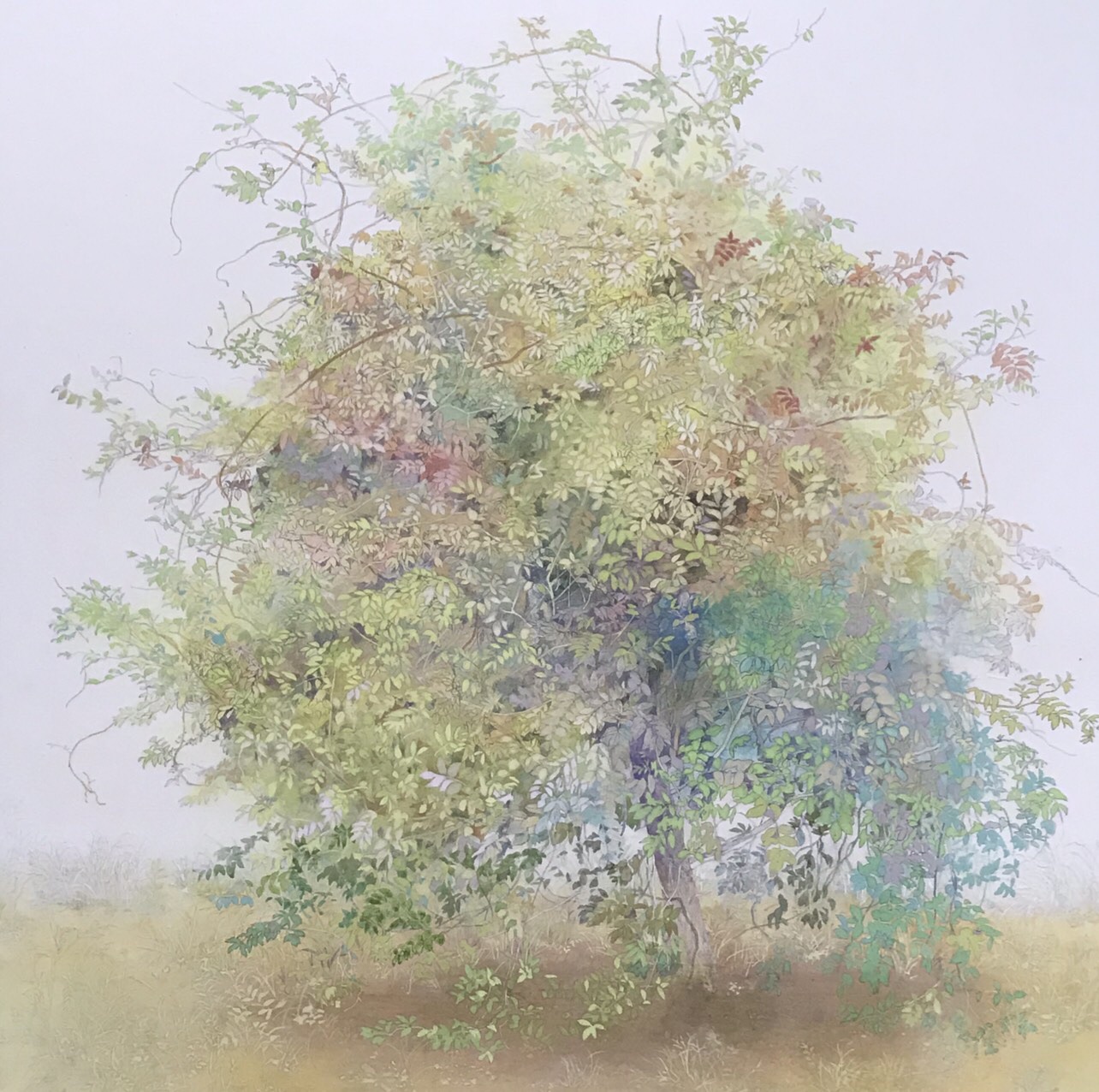 第４回 創英◯▢△選抜展　2019.8.24（土）～8.30（金）