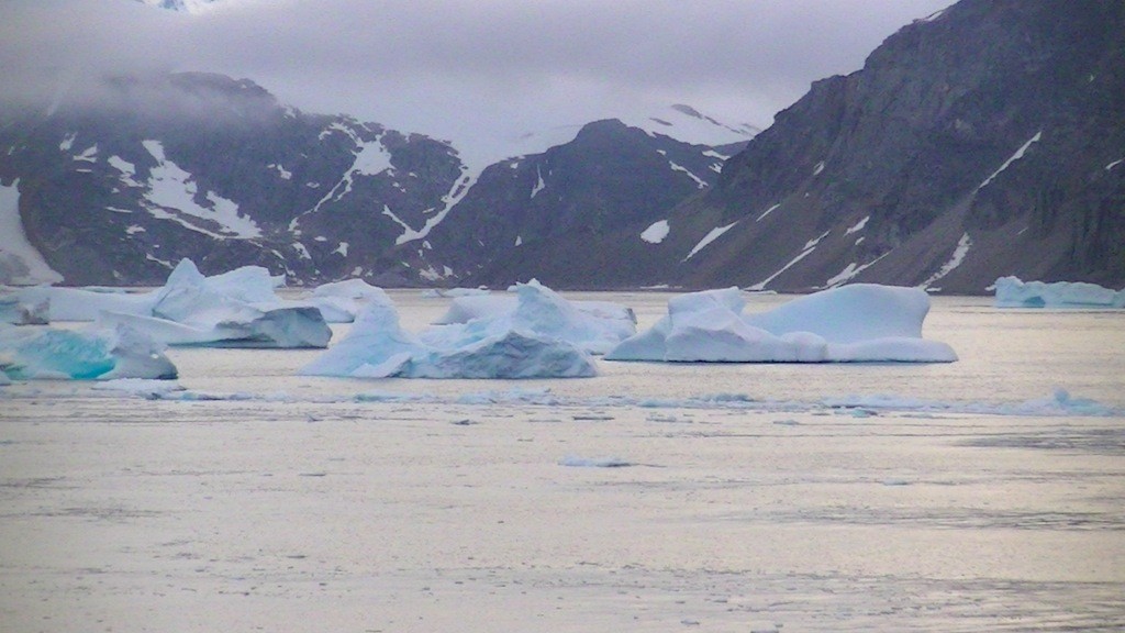 静かな湾に様々な形の氷山が浮かんでいる