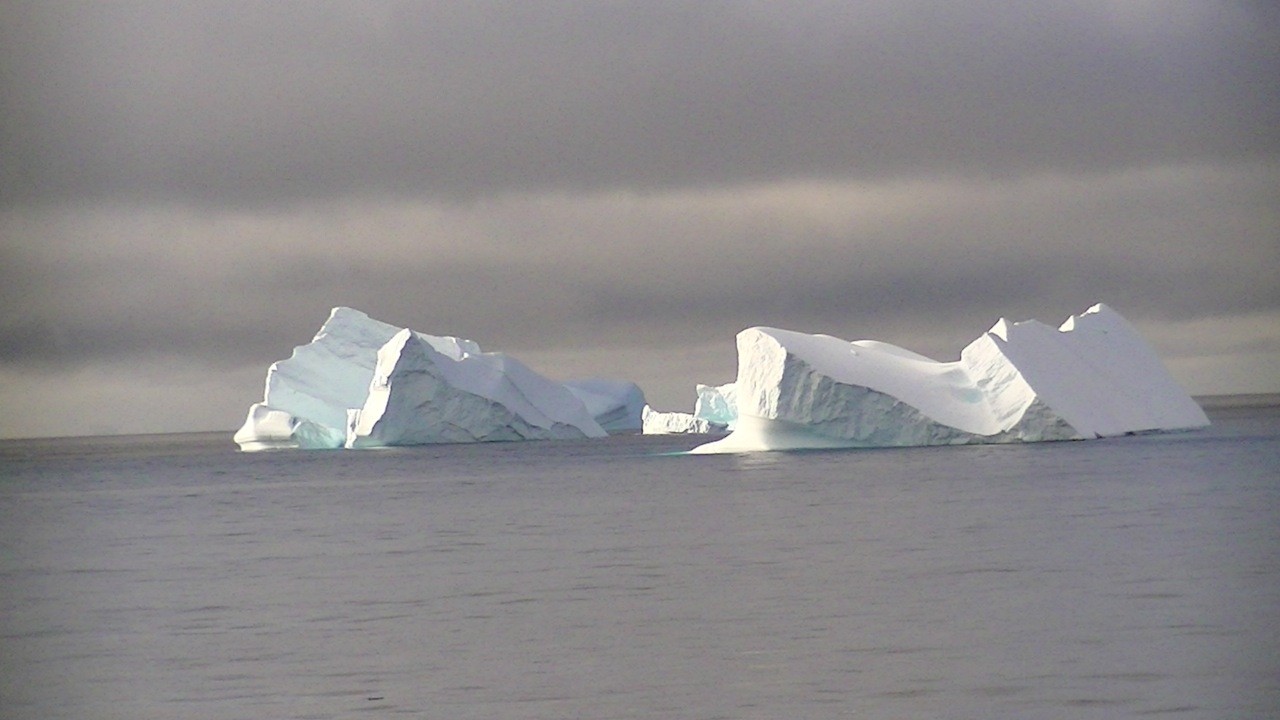 南極半島のミケルセンハーバー〜パルマーコースト付近には氷山が多い