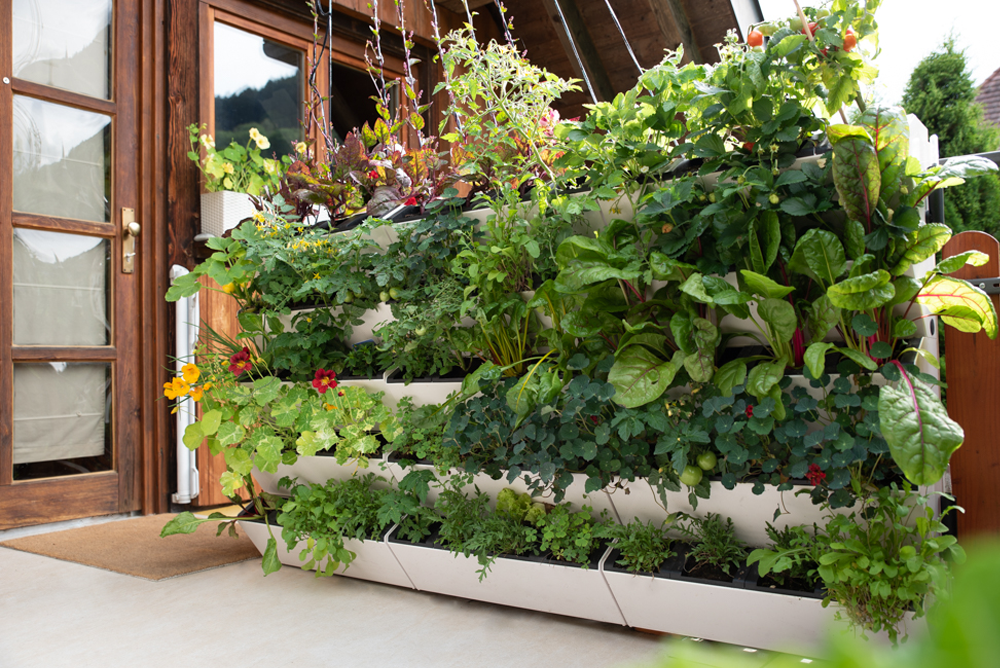 Produkte für Deinen vertikalen Garten Vertigrow Pflanzsysteme