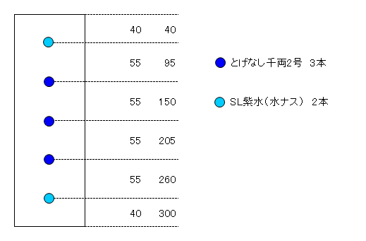 ナス配置図（レイアウト）