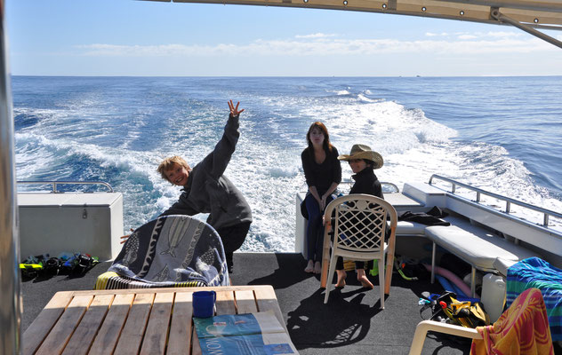 Mit Walhaien schnorcheln am Ningaloo Reef