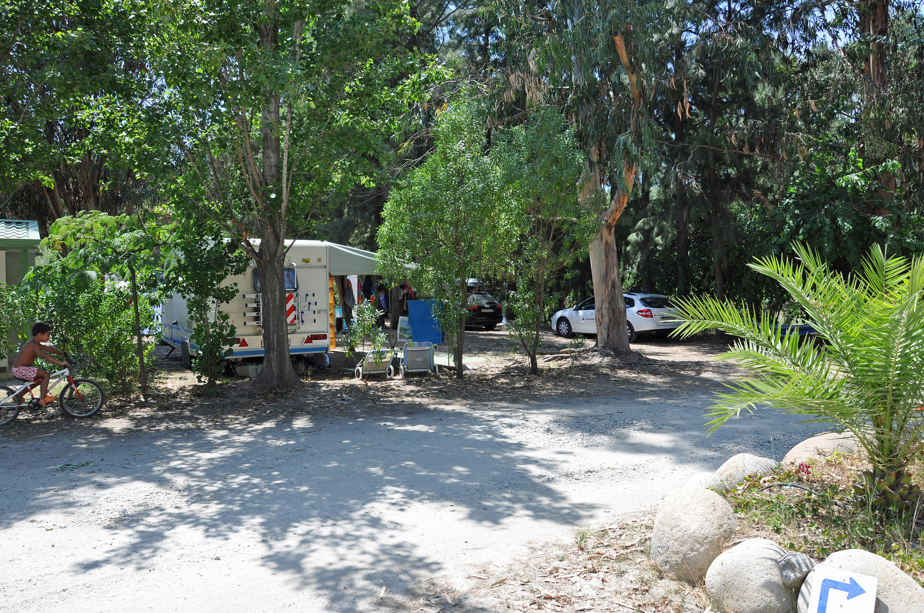 Sole d'OruEucalyptusCôte des Nacres unsere Reiseseite