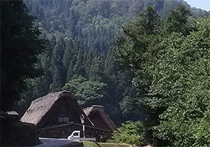 森に囲まれた岐阜県(写真は白川郷)