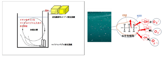 画像5 W-Gaia設置と処理説明