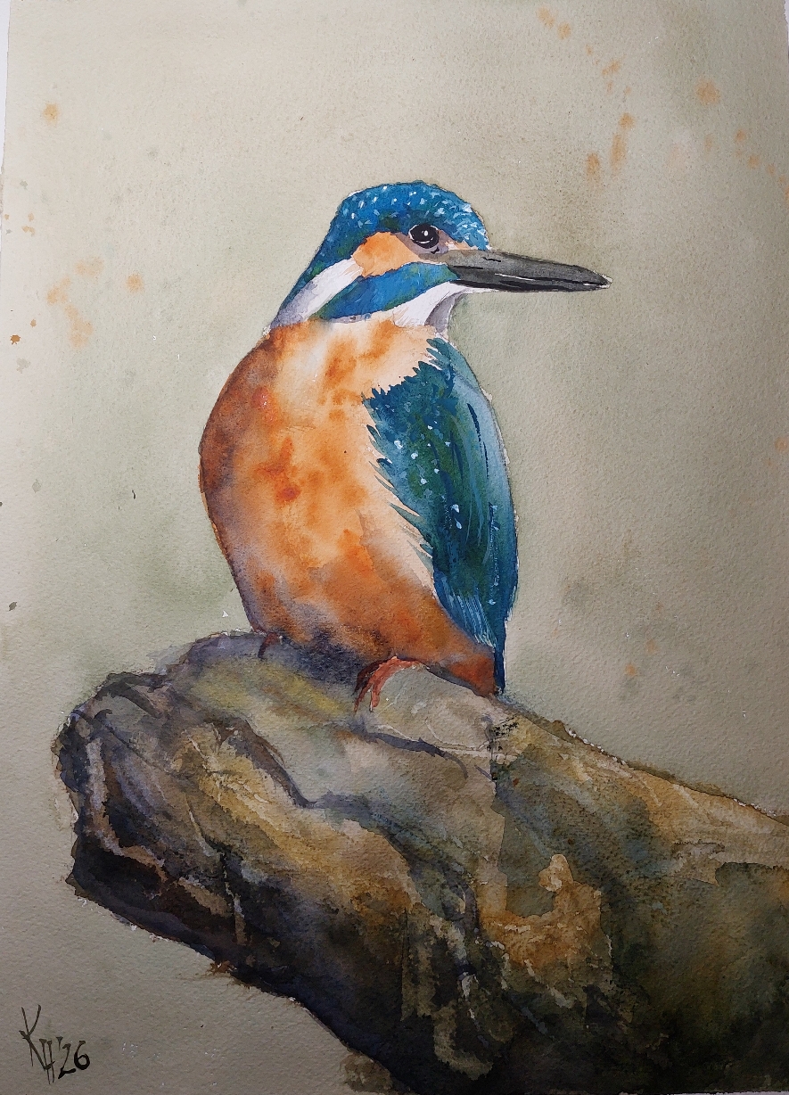 "Farbkontrast" 50x60 cm