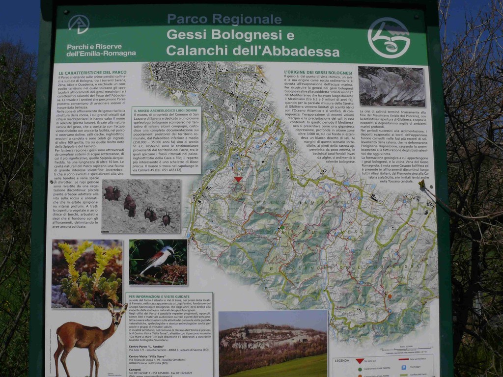 Parco regionale dei Gessi Bolognesi e Calanchi dell'Abbadessa trekking a bologna e Parco regionale dei Gessi Bolognesi e Calanchi dell'Abbadessa trekking a bologna e