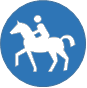 Pferde-OP-Versicherung Pferdekrankenversicherung Tierhalterhaftpflicht