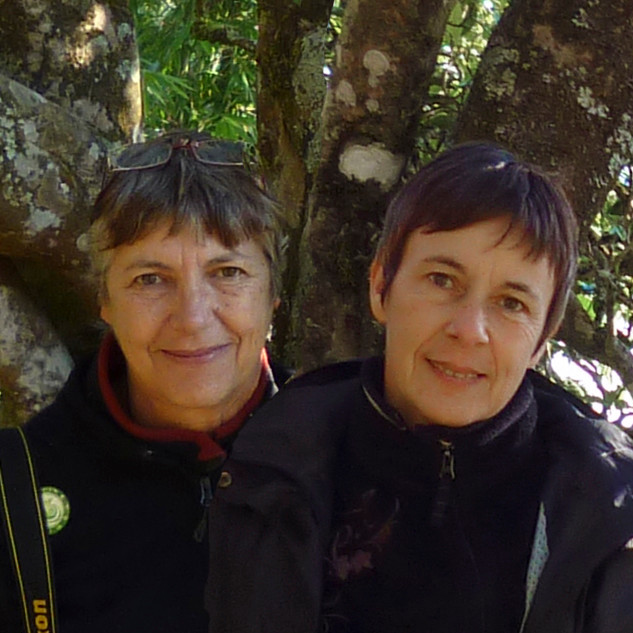 Aude et Dominique sur la route du thé en Chine