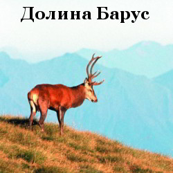 Долина-Барус