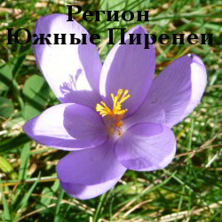 индивидуальные-поездки-Пиренеи