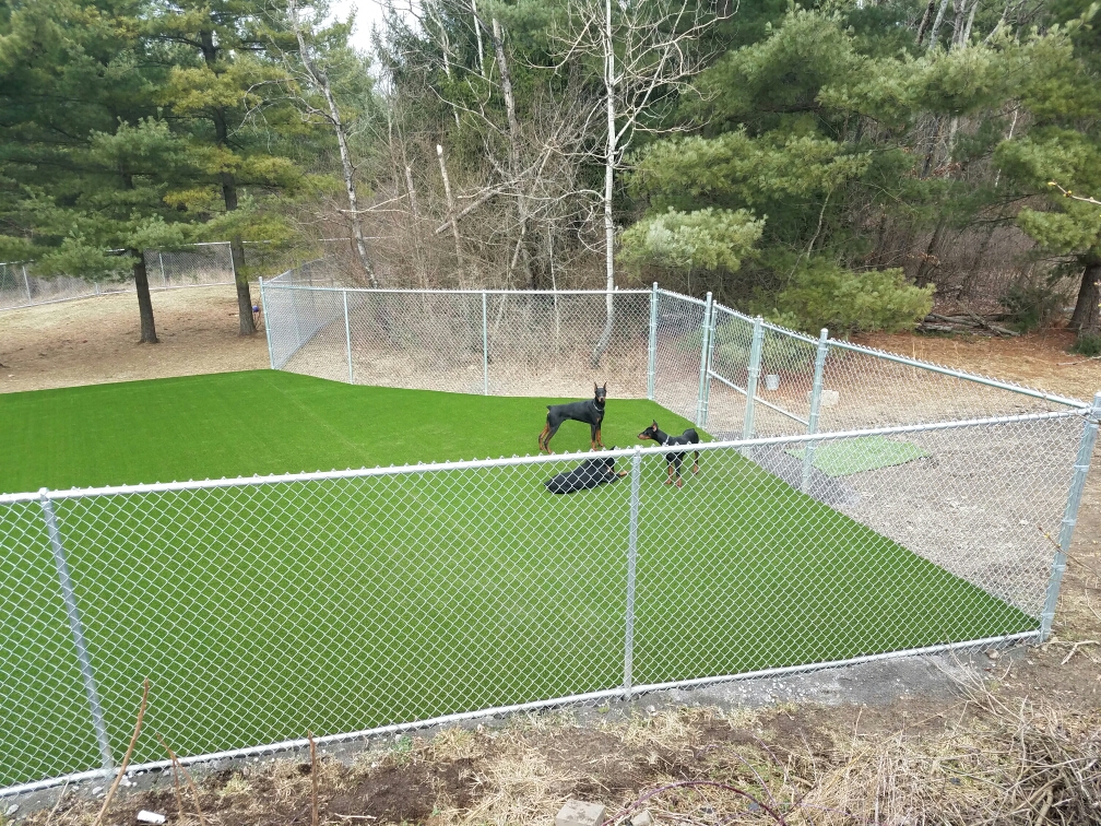 Dog Boarding Pittsburgh PA Pet Boarding Kennels Pittsburgh The