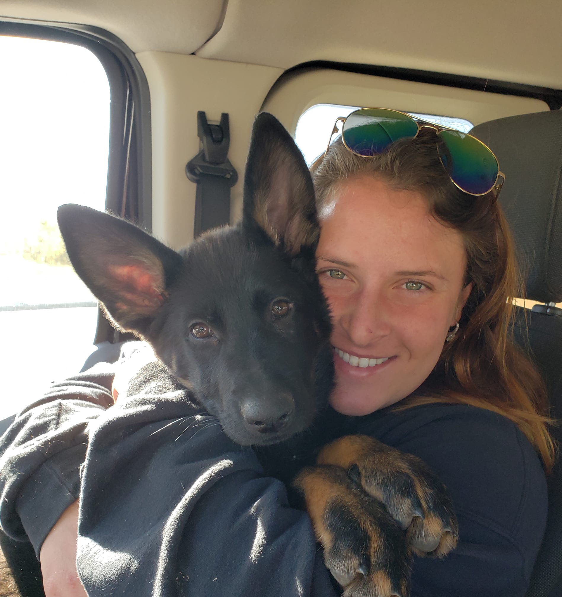 Dog Boarding Pittsburgh PA Pet Boarding Kennels Pittsburgh The