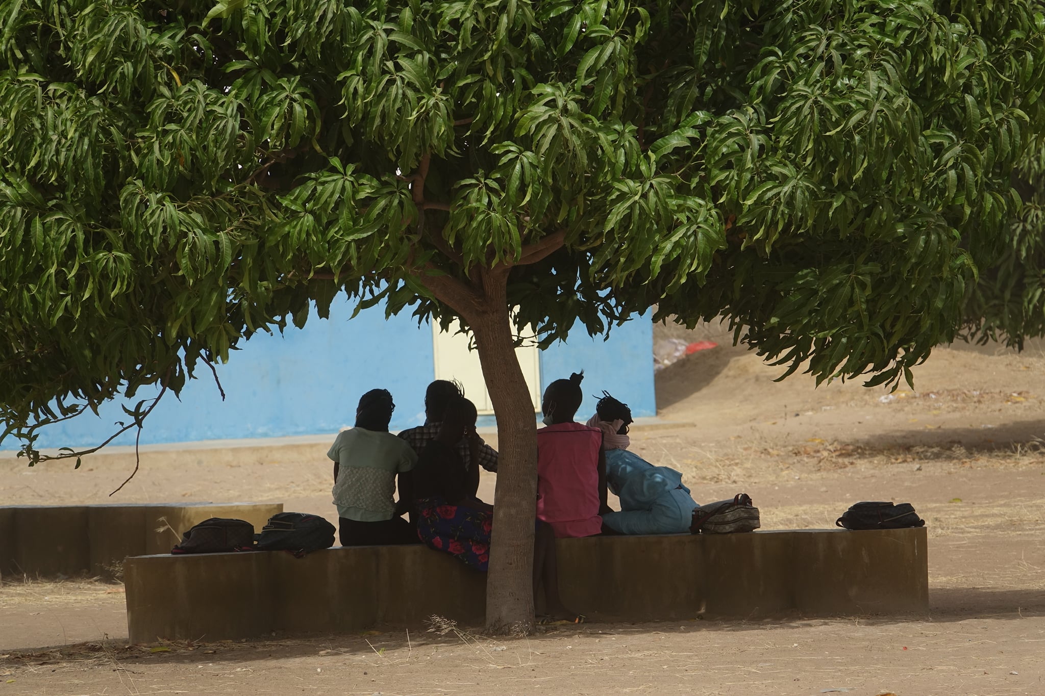 Un banc... un arbre : Pour répondre à des besoins éducatifs...
