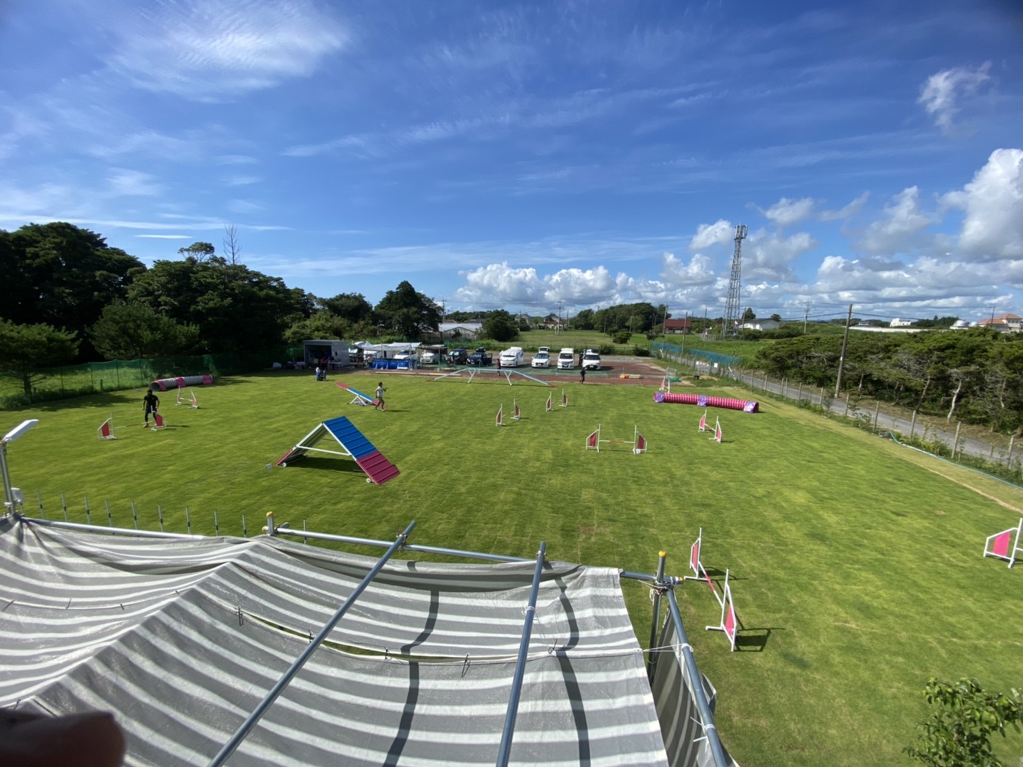 ドックスポーツ&トレーニングベスト ドッグスポーツトレーニングベスト Pinewood ガンドッグ - メルカリ