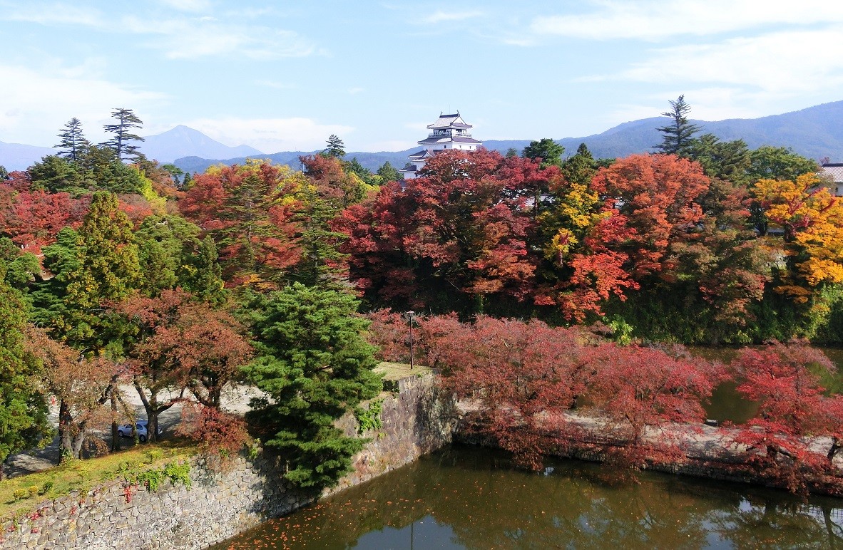 秋の紅葉がきれいです。