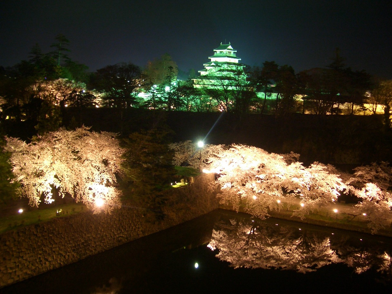 ライトアップされた鶴ヶ城、手前の桜もきれいです。