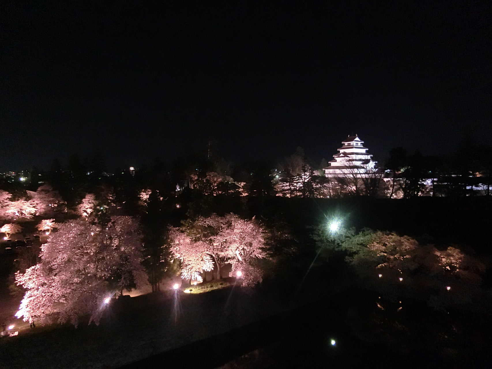 春の夜景です。