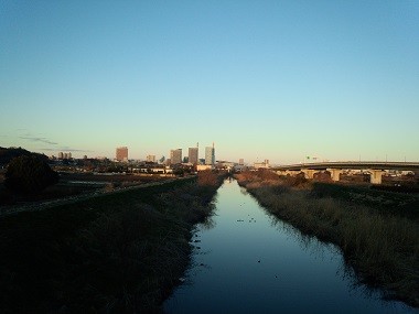 見沼田んぼの風景