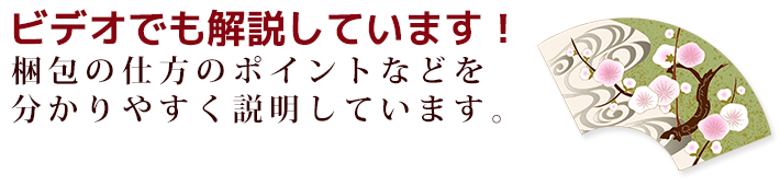 ビデオでも解説しています