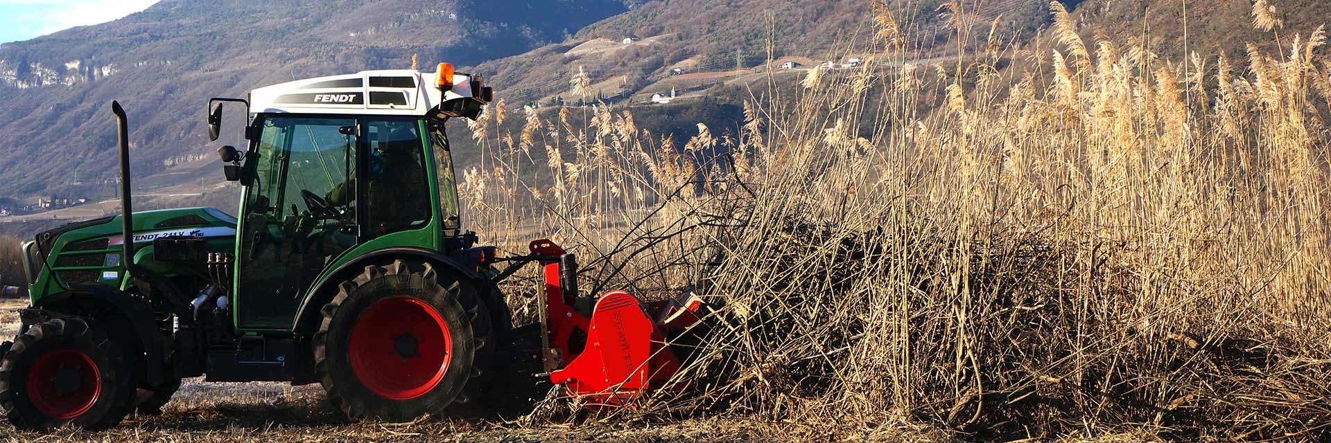 Forstmulcher, Traktoren bis 100 PS MINIFORST SEPPI M. Deutschland