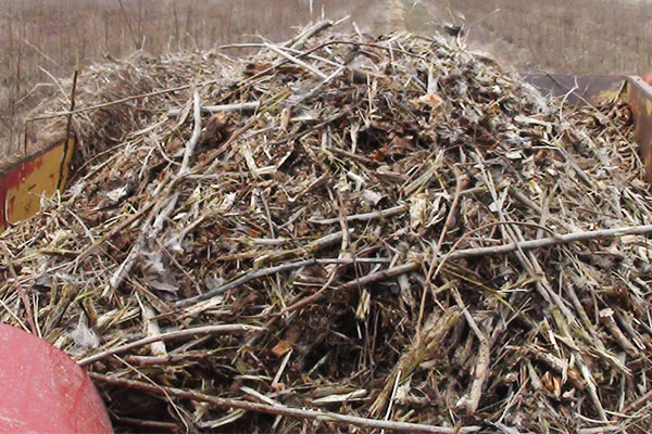 Mulchgut