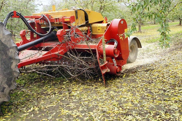 SEPPI M. WBS pick-up Mulcher