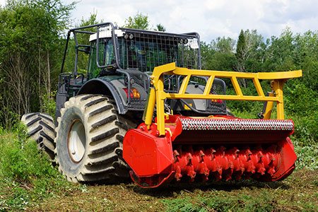 Investitionsprogramm Wald - Jetzt investieren und bis zu 40 % Förderung erhalten!