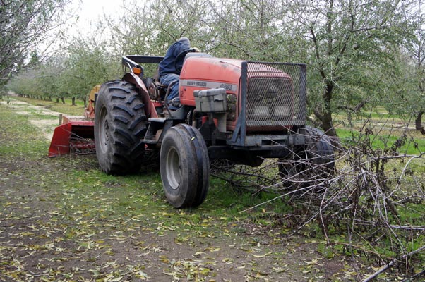 SEPPI M. WBS pick-up Mulcher