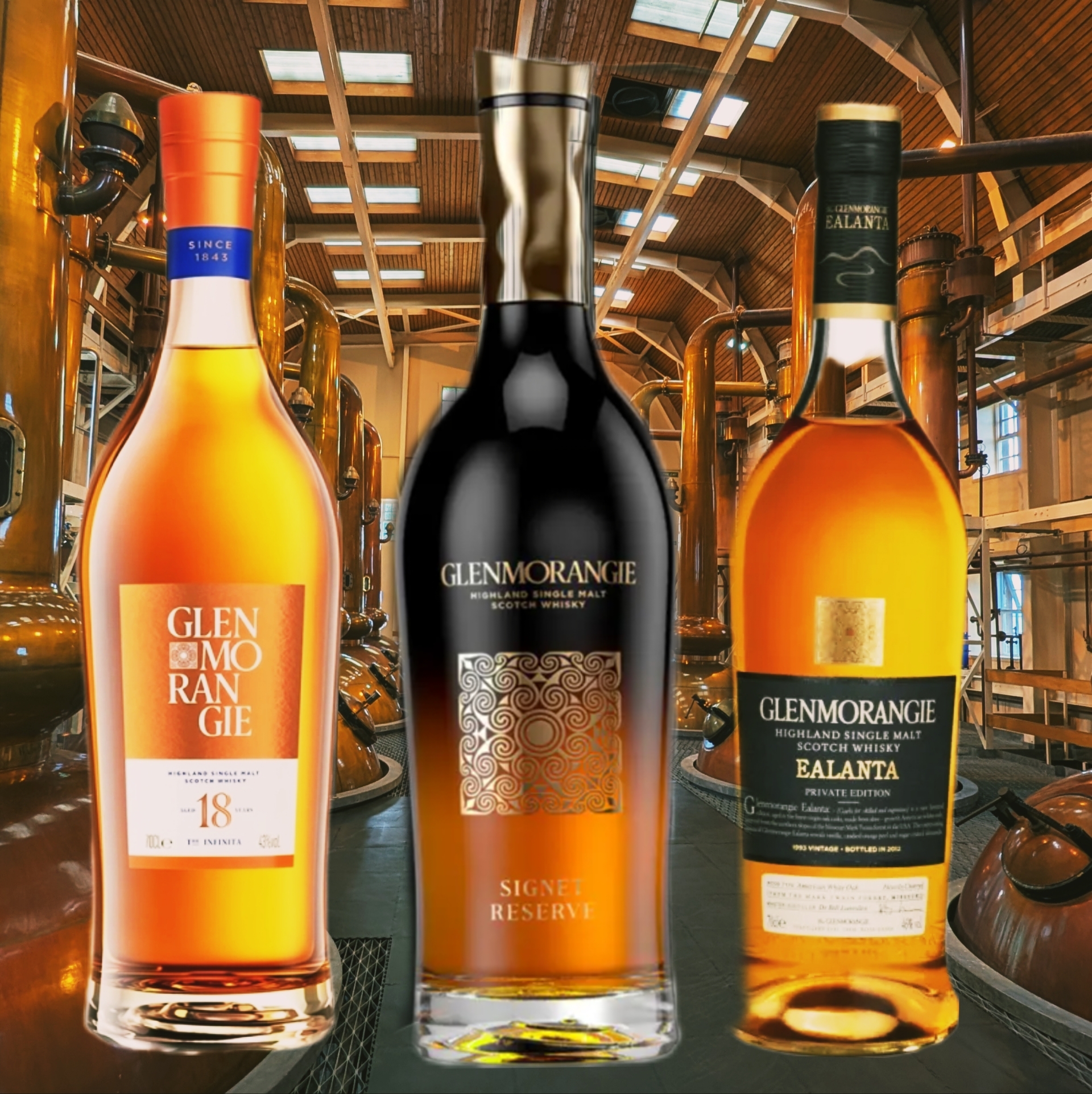 VISITE DE LA DISTILLERIE GLENMORANGIE ET DEGUSTATION DE PEPITES