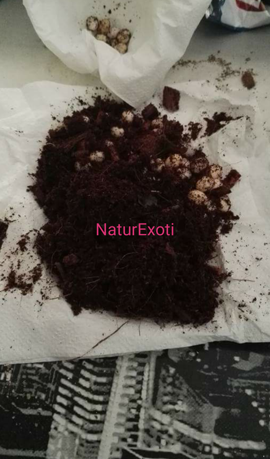 NaturExoti