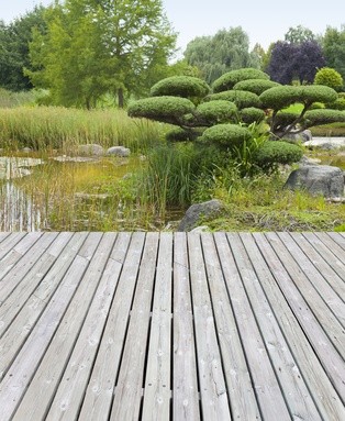 japanische Gärten - Gestaltung durch Sebastian Roeb - www.sebastianroeb.de