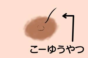 ケノンで乳毛は脱毛できるのか