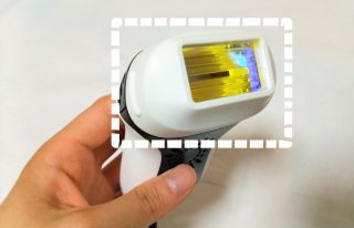 ケノンの写真、トリミング前