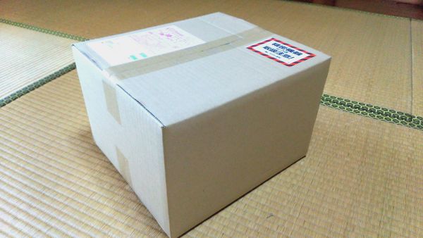 ケノンが送られてきた直後の写真