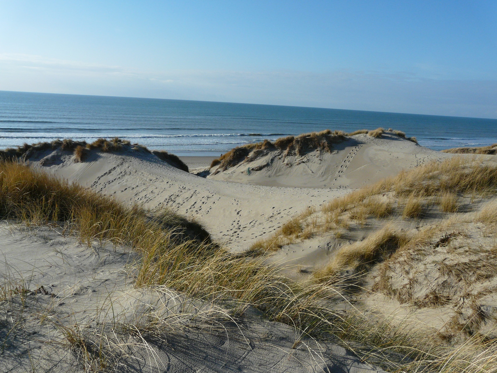 Balade dans les dunes