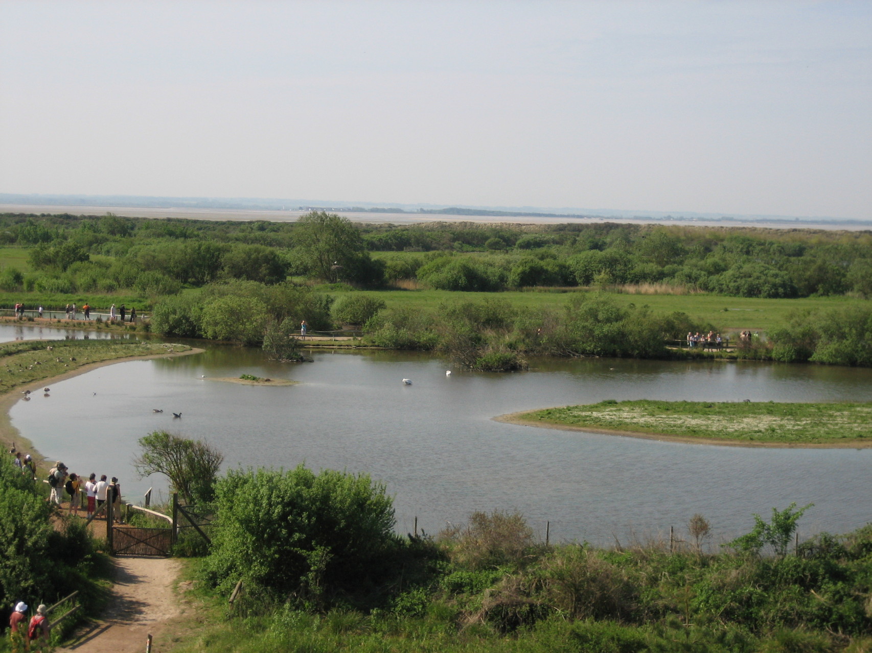 Le parc ornithologique du Marquenterre