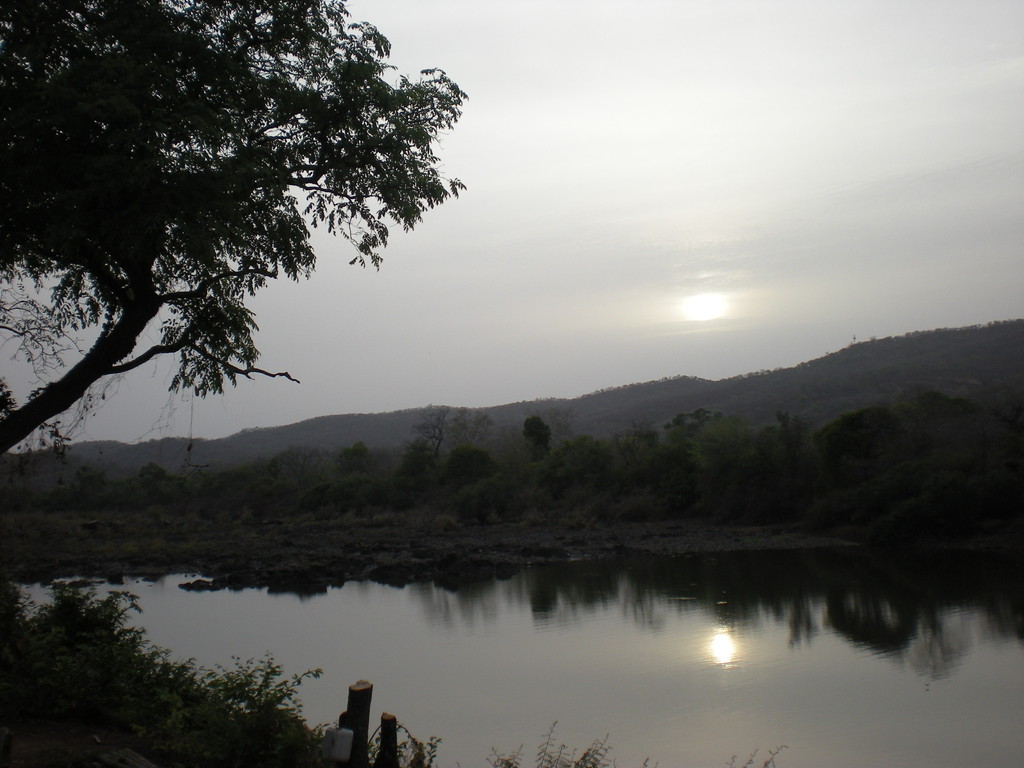 Le fleuve Gambie à Mako