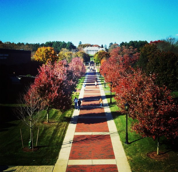 My Favorite Places to Study at Stonehill College