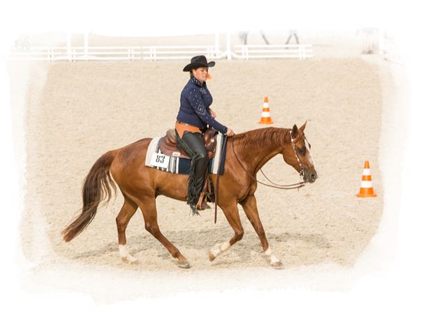 Senior Westernriding AQ Lorsch