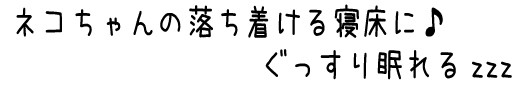 猫ぐっすり