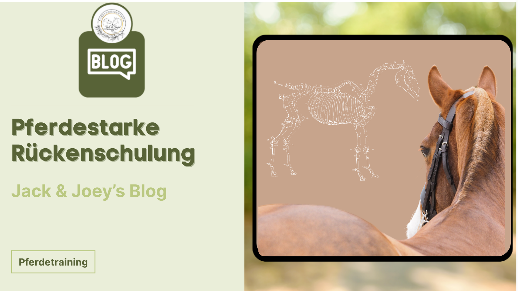 Pferdestarke Rückenschule