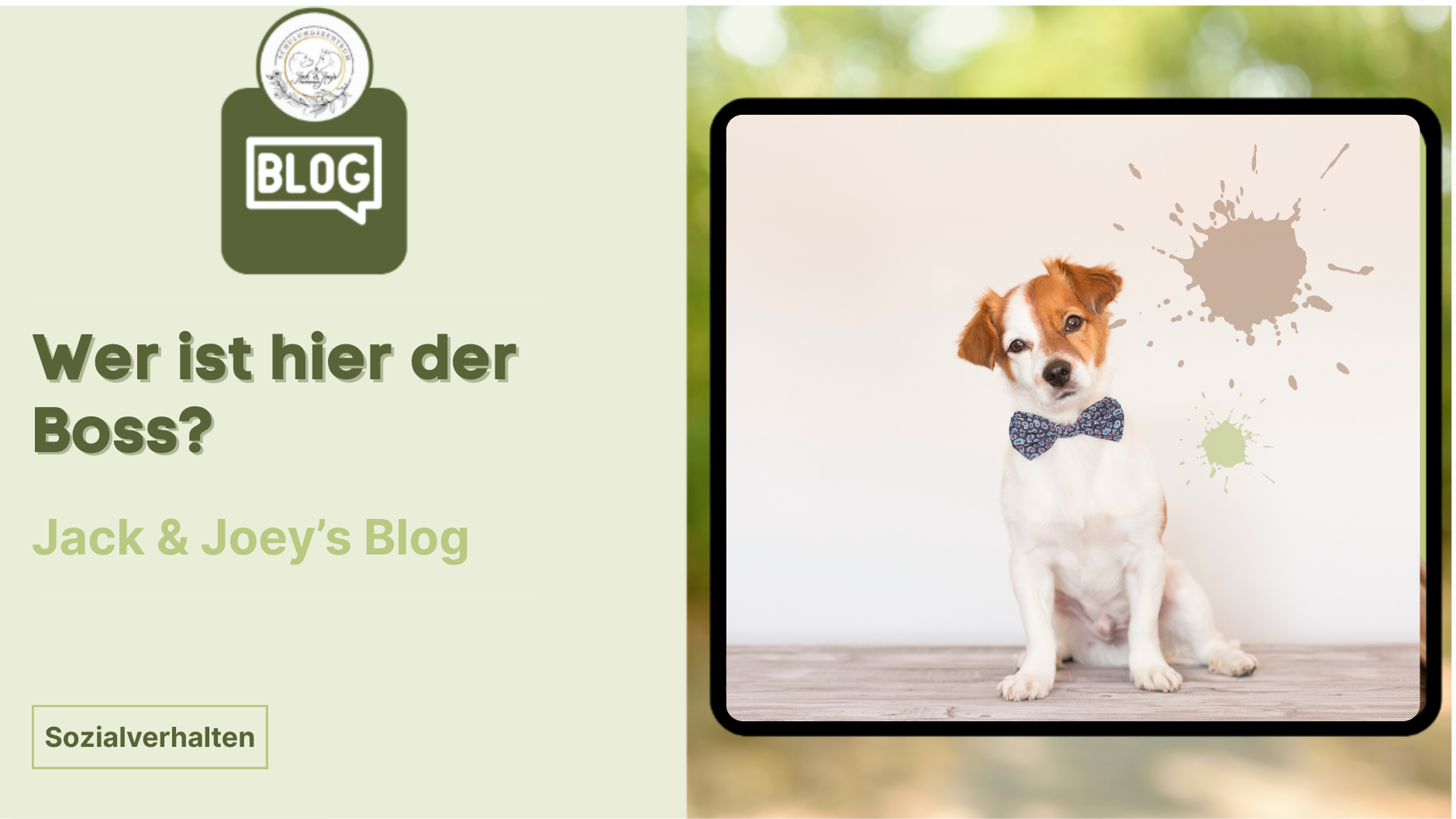 Wer ist hier der Boss?