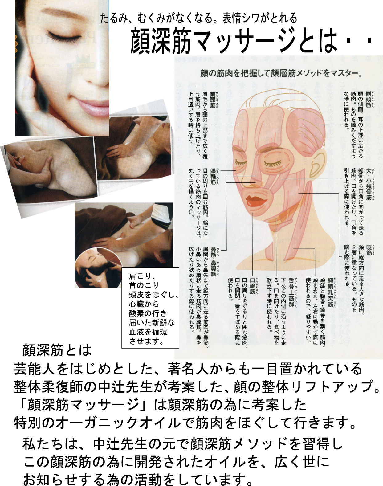 新潟市 横越 ビューティーハウスマルヤマ ホームページ です 旧 ファンシィマルヤマ 新潟市 ビューティーハウスマルヤマ ホームページ