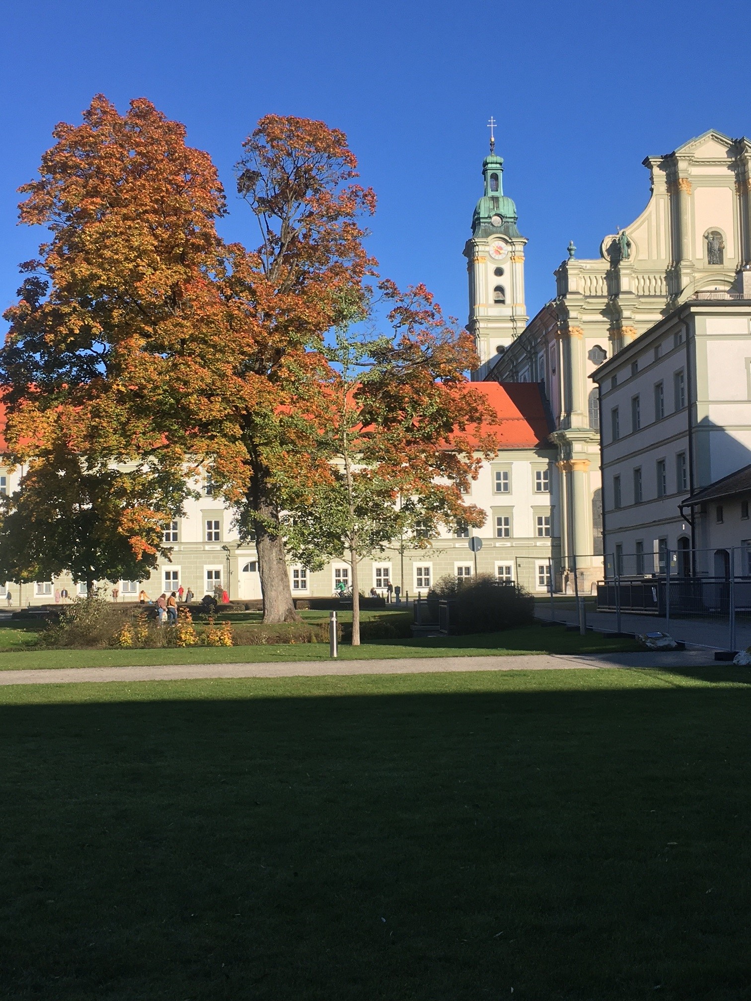 © Hansi Wolfersdorf, Eiche, Kloster Fürstenfeld